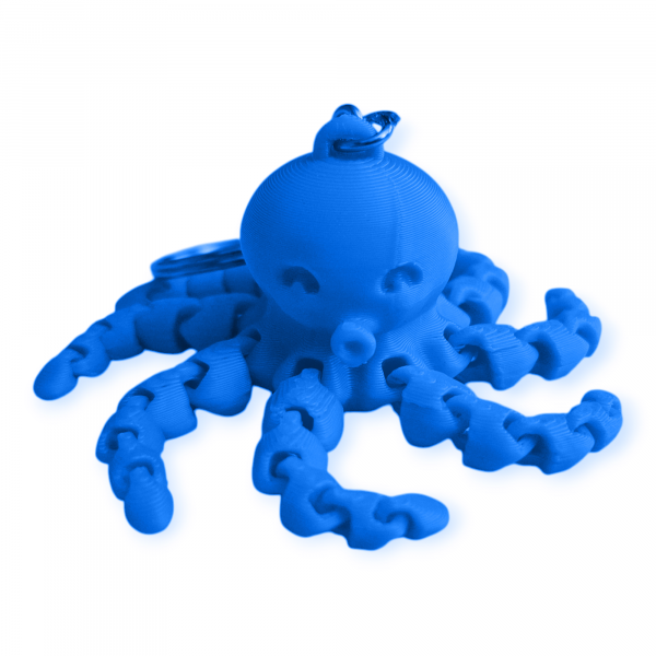 octo keyring 4