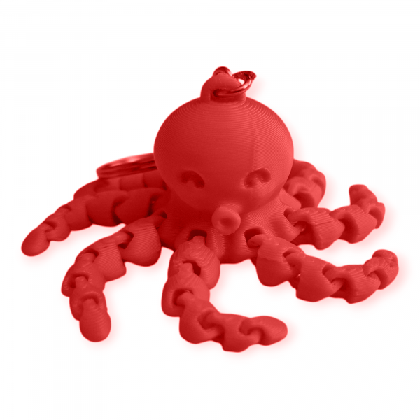 octo keyring 6